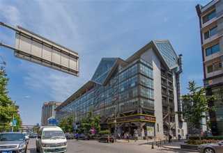 江苏批发鱼胶是什么